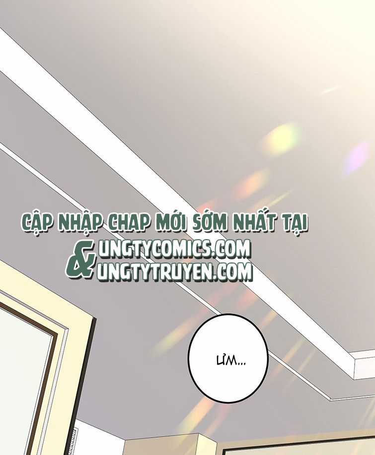 Tổng Tài Định Chế Tư Nhân Chapter 1 trang 0