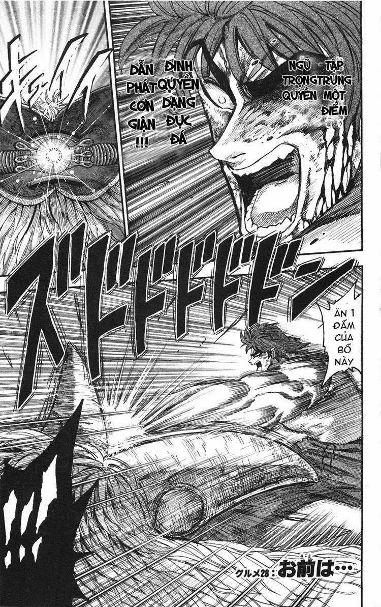 Toriko - Thợ Săn Ẩm Thực Chapter 28 trang 0