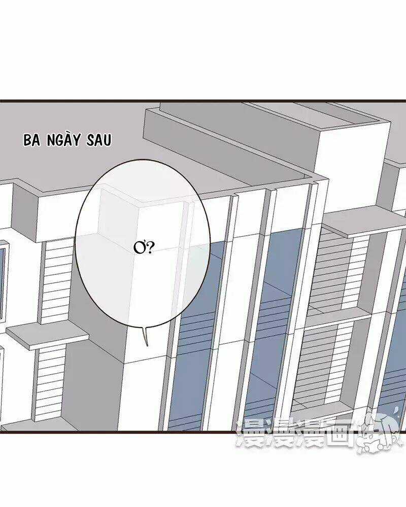 Trên Trời Rớt Xuống Một Hòa Thượng Ngốc Chapter 47 trang 1