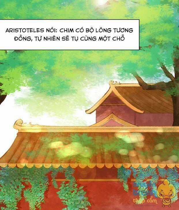 Trọng Sinh Để Ngủ Với Ảnh Đế Chapter 13 trang 1