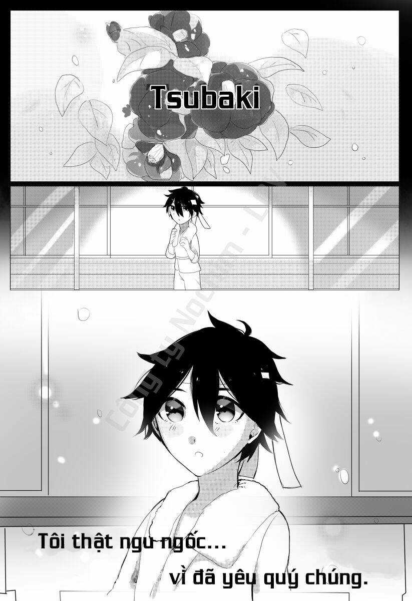 Tsubaki Chapter 1 trang 1