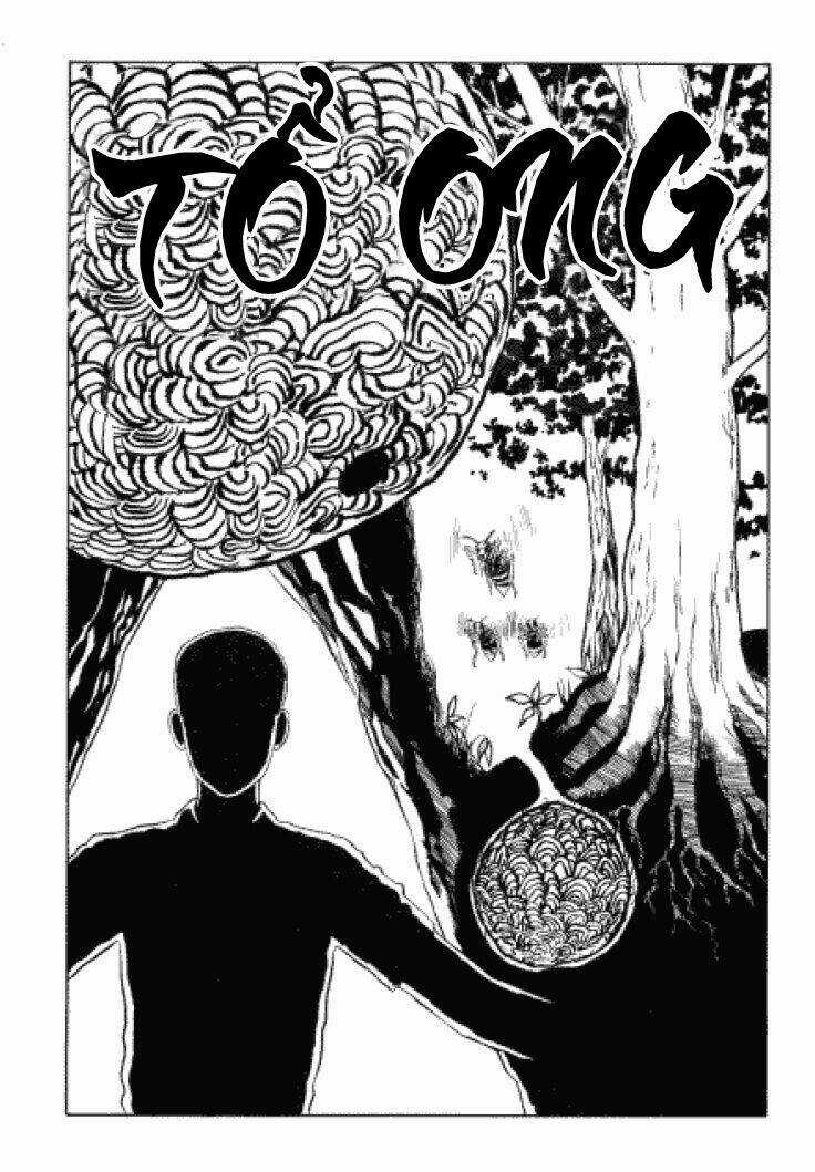 Tuyển Tập Truyện Ngắn Kinh Dị Của Ito Junji Chapter 3.3 trang 0