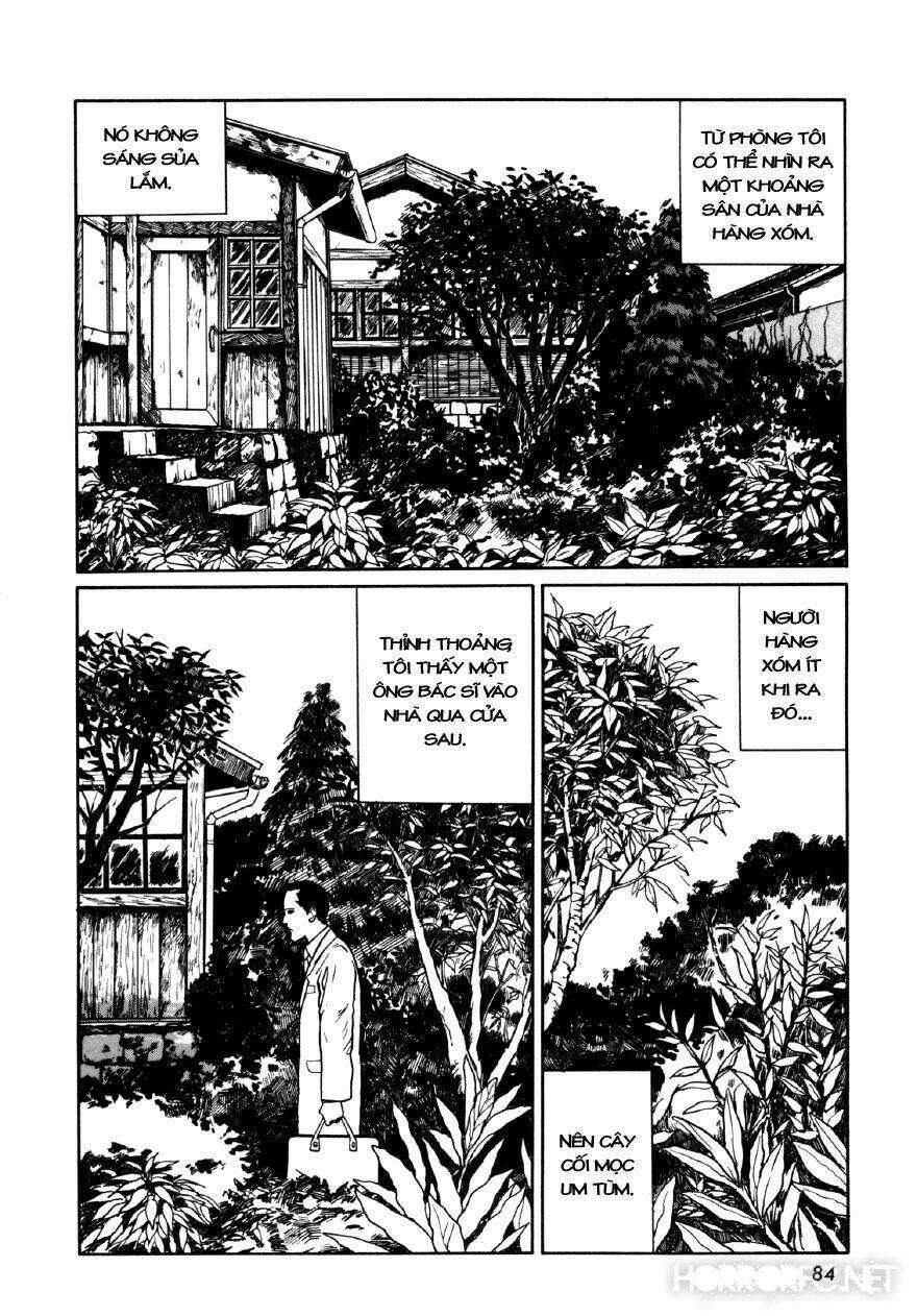 Tuyển Tập Truyện Ngắn Kinh Dị Của Ito Junji Chapter 7.4 trang 1