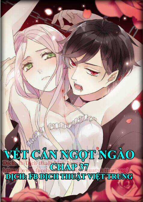 Vết Cắn Ngọt Ngào Chapter 37 trang 0