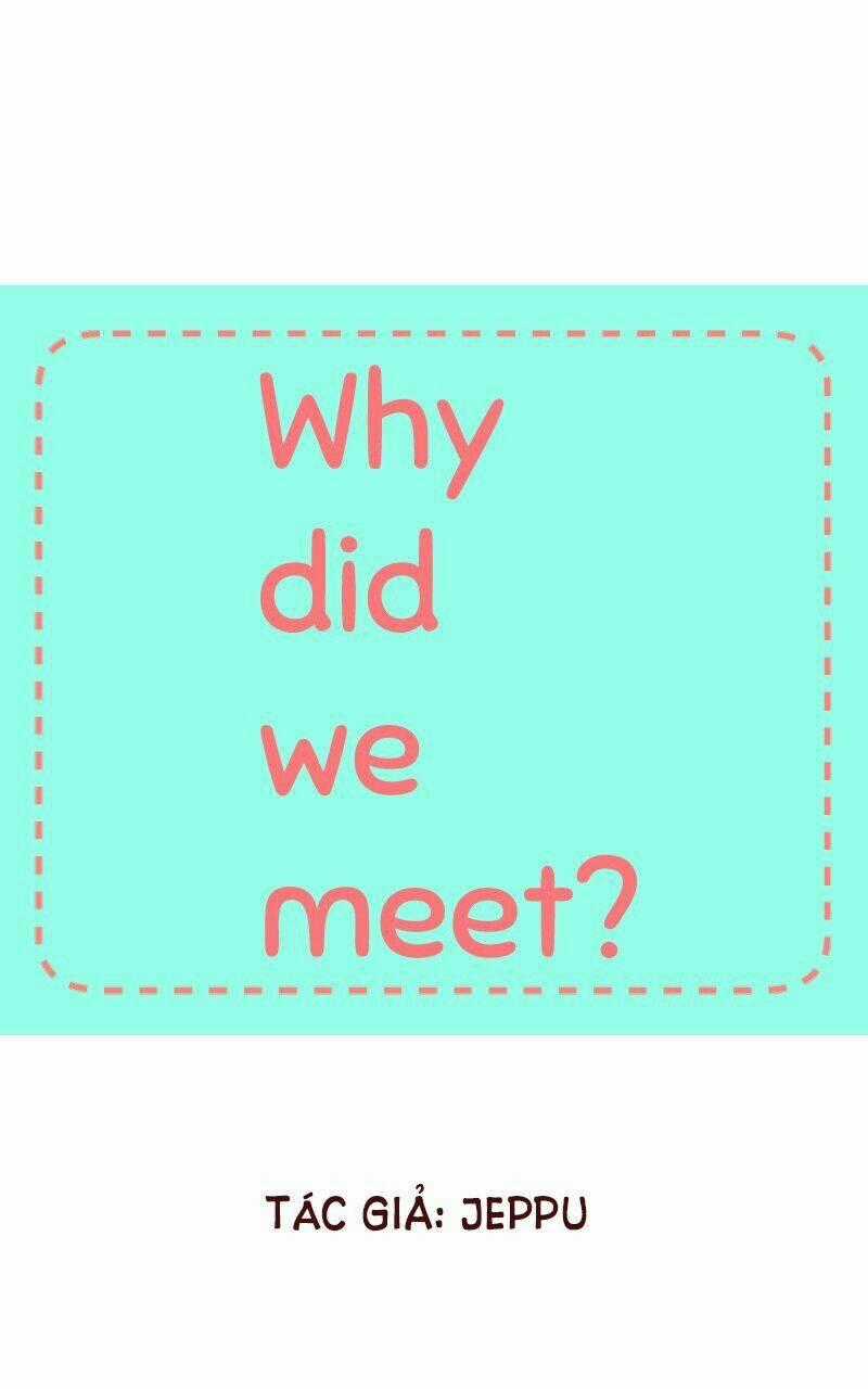 Why Did We Meet? Chapter 4 trang 1