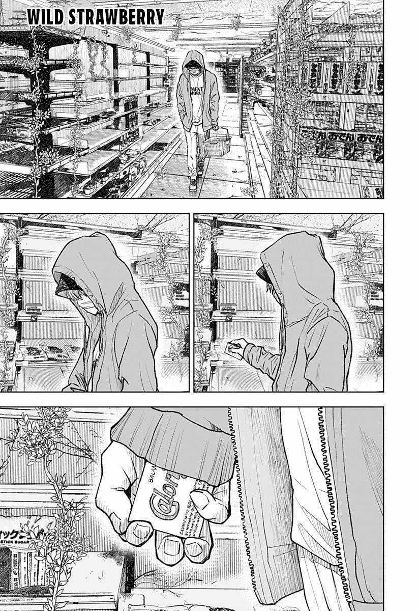 Wild Strawberry (Dpmanga) Chapter 1 trang 0