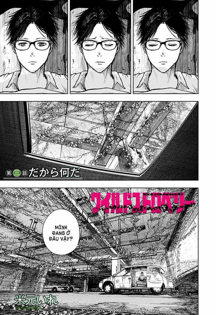 Wild Strawberry (Dpmanga) Chapter 3 trang 0