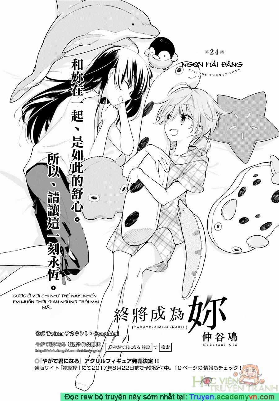 Yagate Kimi Ni Naru Chapter 24 trang 1